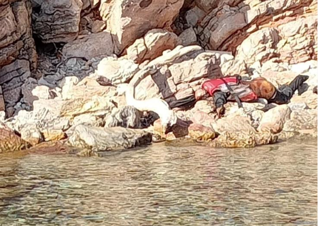 Adada cesetle karşılaştılar