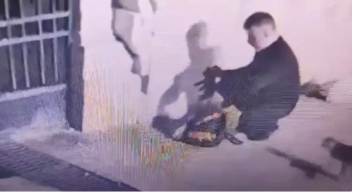 Kedileri toplayıp çantasına koymuştu! Kan donduran detay çıktı