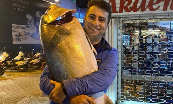 Amatör balıkçı, olta ile 41 kiloluk balık yakaladı!