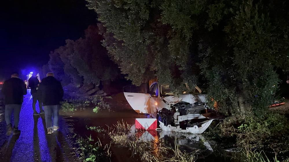 Bursa’da alkollü sürücü zeytin ağacına çarparak durabildi