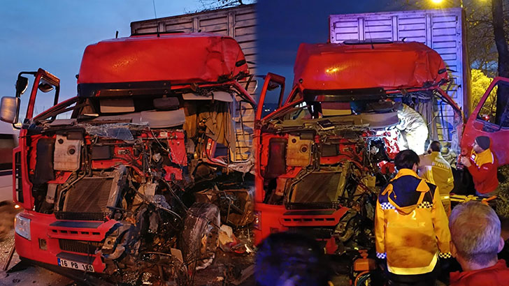 Bursa’da kontrolden çıkan TIR ağaca çarptı
