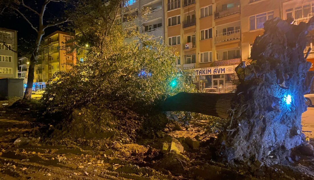Bursa’da şiddetli lodos 200 yıllık çınarı yıktı