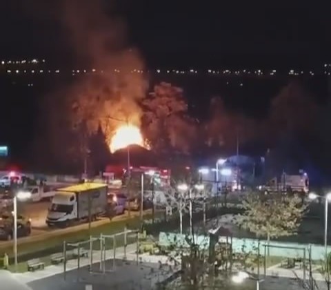 Bursa’da bir çiftlik alevlere teslim oldu