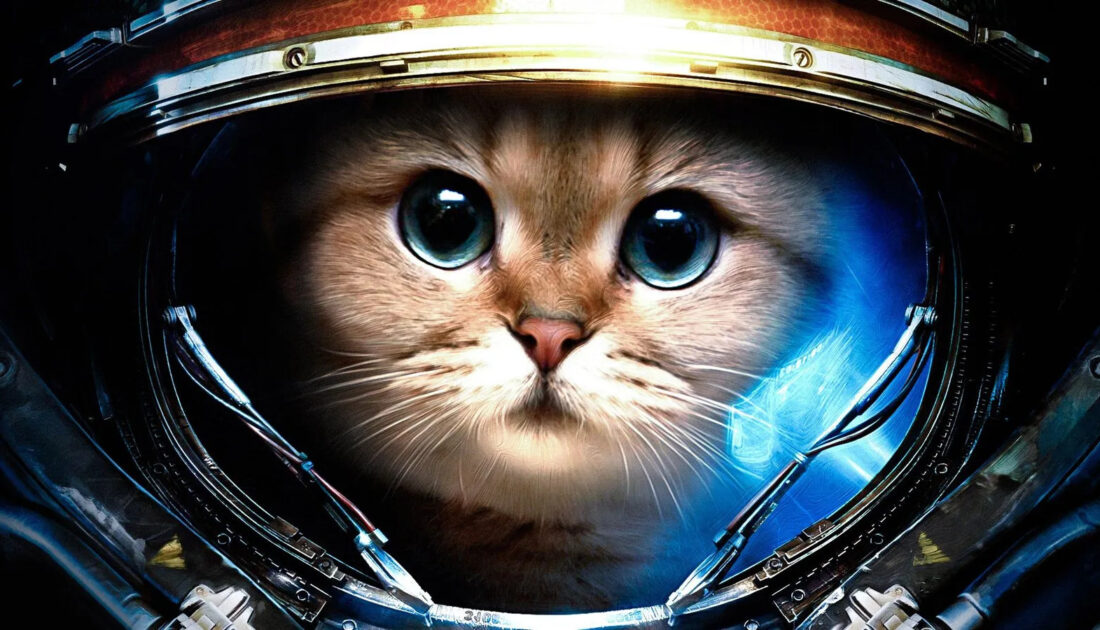 Derin uzaydan mesaj var! NASA’dan Dünya’ya kedi videosu