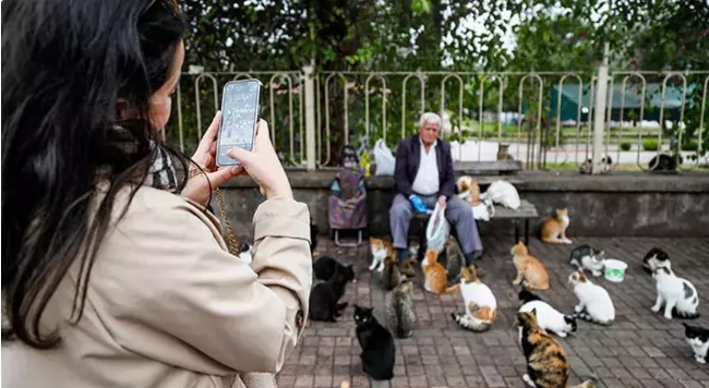 Emekli maaşınla 800 kediyi besliyor: Ben onların babasıyım