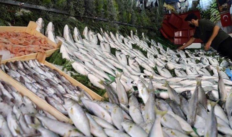 Aralık ayında hangi balıklar yenir?