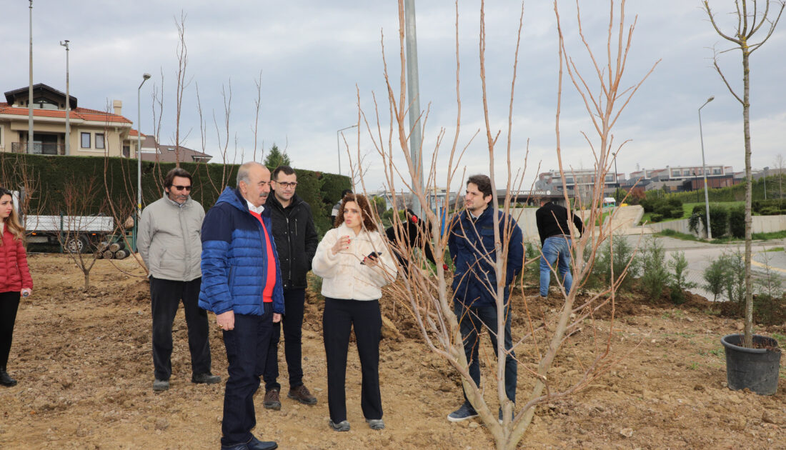 Mudanya Ekopark’ta çalışmalar sürüyor