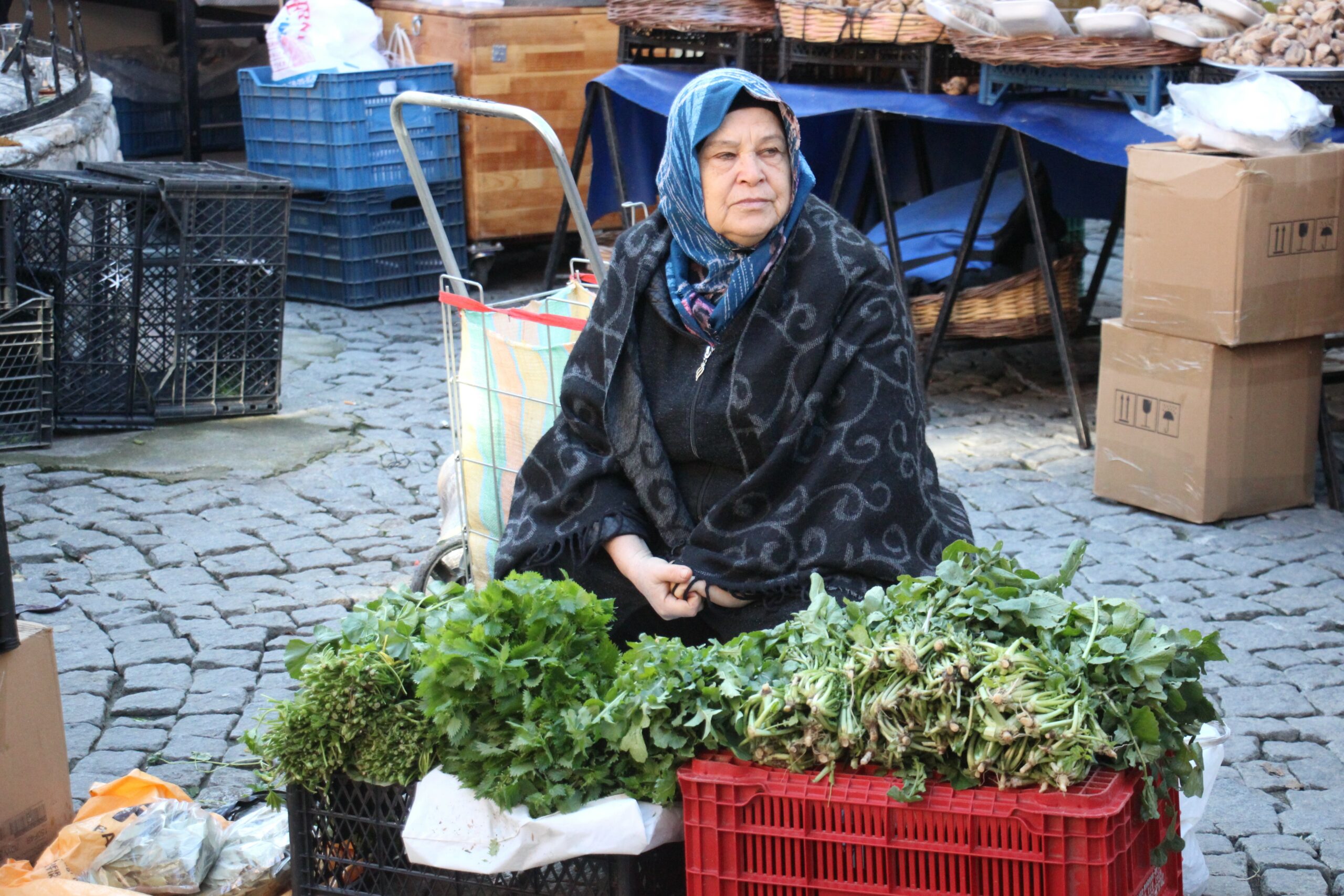 Bu otlar sadece Ege pazarlarında