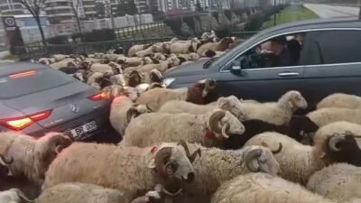 Bursa trafiğinde ilginç anlar: Sürücüler isyan etti!