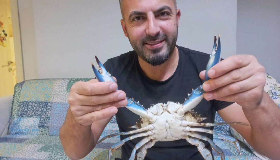 Amatör balıkçının ağına nadir görülen mavi yengeç takıldı