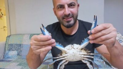 Amatör balıkçının ağına nadir görülen mavi yengeç takıldı