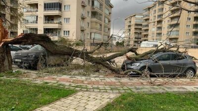 Bursa’da lodos hayatı felç etti: Ağaçları devirdi, çöp konteynerlerini sürükledi
