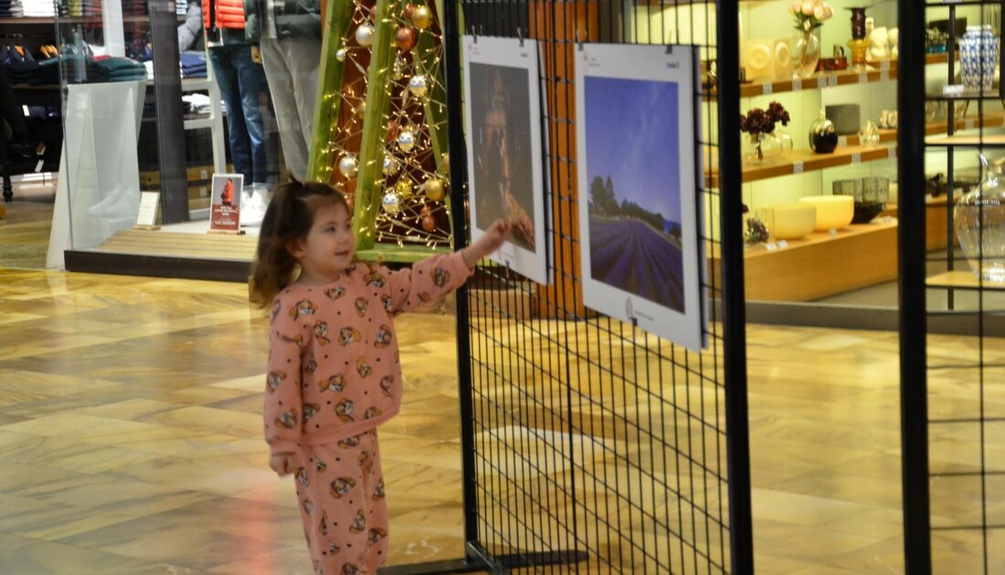 Tarım orman ve insan fotoğraflarda buluştu