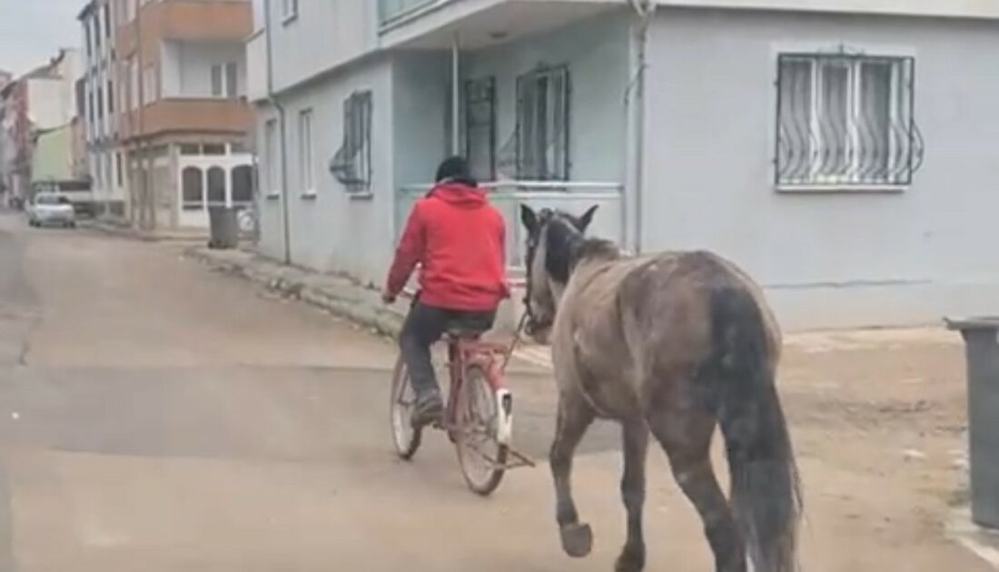 Bursa’da atı bisikletine bağlayarak götürdü
