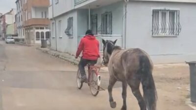 Bursa’da atı bisikletine bağlayarak götürdü