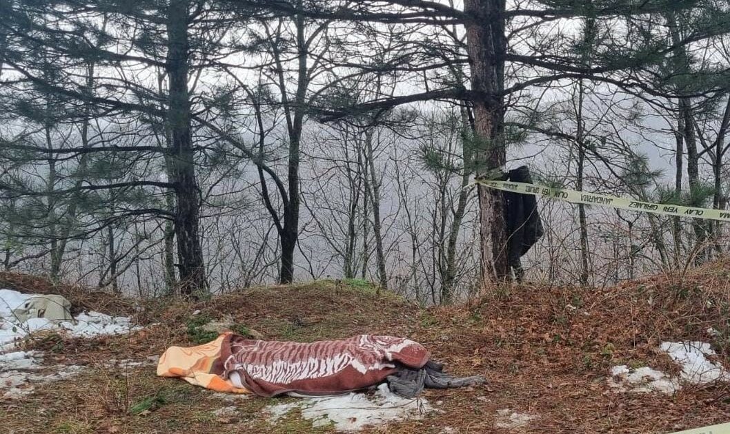 Bursa’da kestiği ağaç sonu oldu