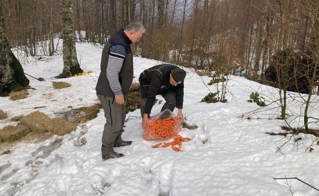 Bursa’da yaban hayvanlarına destek