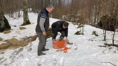 Bursa’da yaban hayvanlarına destek