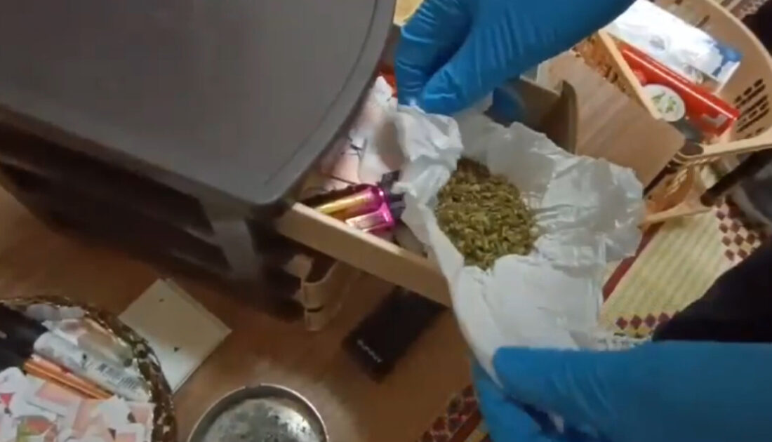 Bursa’da akılalmaz yöntem! Kekikli bonzai polise takıldı