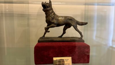 Lahey’in Atatürk’e hediye ettiği ‘bozkurt’ heykeli Samsun’da sergileniyor