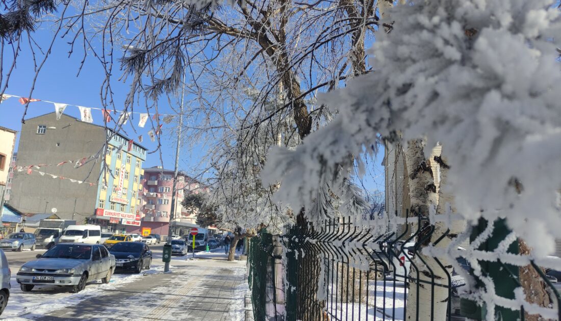 Ardahan’da dondurucu soğuk: Eksi 32 dereceyi gördü