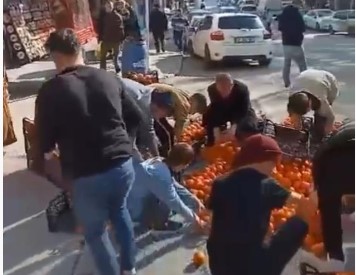 Bursa’da kamyonetten dökülen mandalinalar için herkes seferber oldu