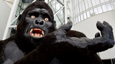 Gerçek King Kong bulundu! Yok oluşunun nedeni ortaya çıktı