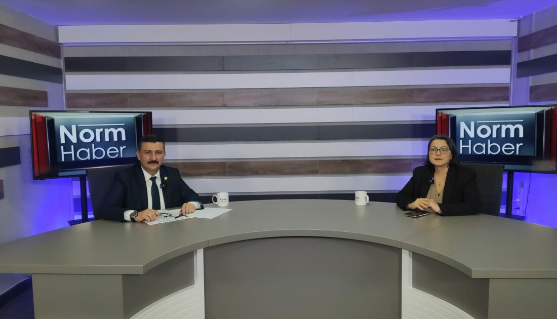 Selçuk Türkoğlu: Bursa’ya cesur kararlar alabilecek bir deli lazım!