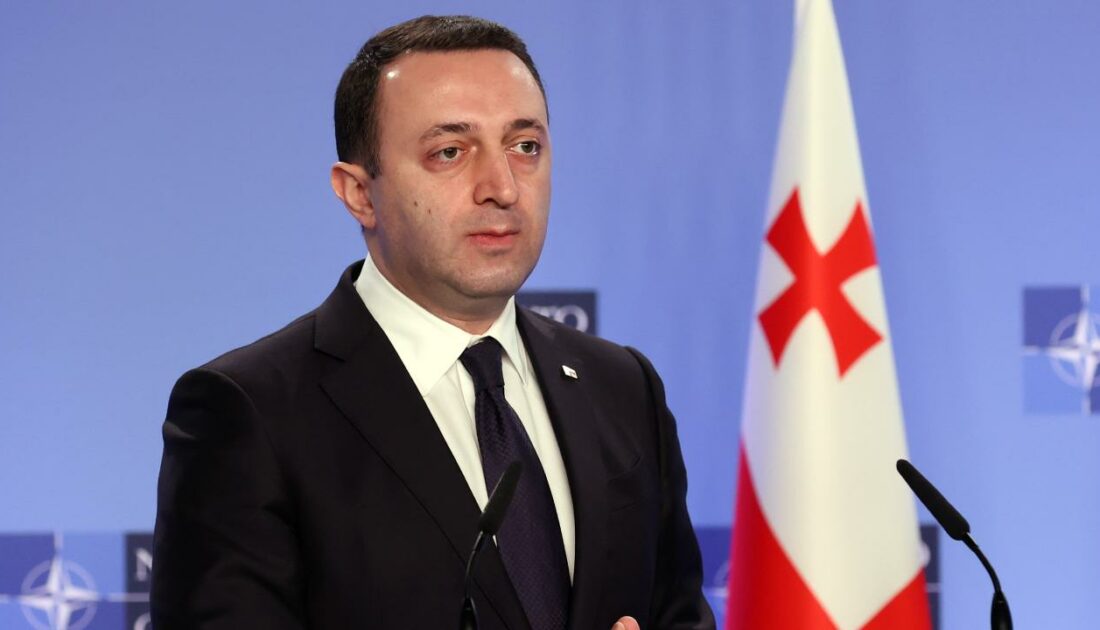 Gürcistan Başbakanı Garibaşvili istifa etti