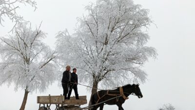 Yurdun doğusu buz kesti