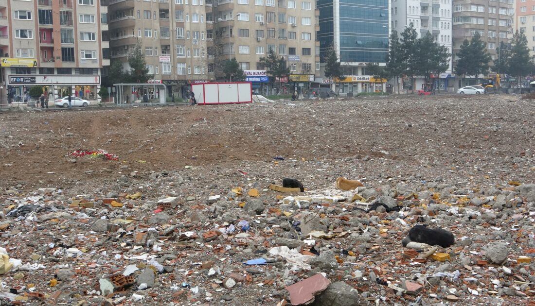 89 kişiye mezar olmuştu! Köpeklerinin mekanı haline geldi