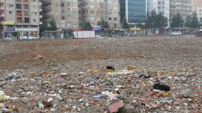 89 kişiye mezar olmuştu! Köpeklerinin mekanı haline geldi