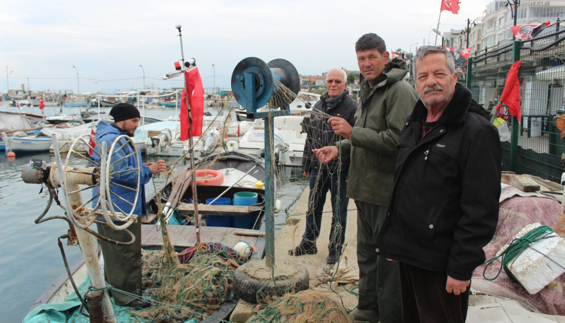 Bursa’da kıyı balıkçığı bitme noktasına geldi!