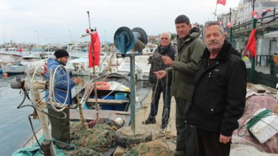 Bursa’da kıyı balıkçığı bitme noktasına geldi!