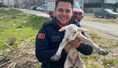 Bursa’da kuyuya düşen kuzuyu itfaiye kurtardı