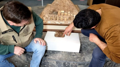 Adıyaman’da bulundu: 15 milyon yıllık balık fosili
