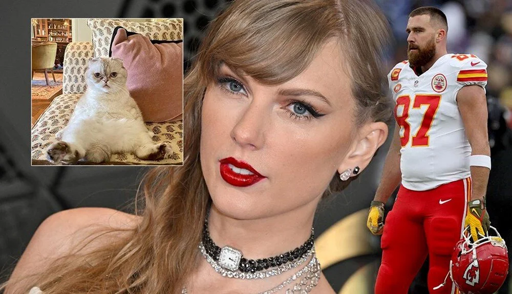 Taylor Swift servetine servet kattı: Kedisi sevgilisinden daha çok kazanıyor!