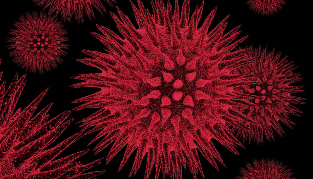 Yeni kabus: Alaskapox virüsü!