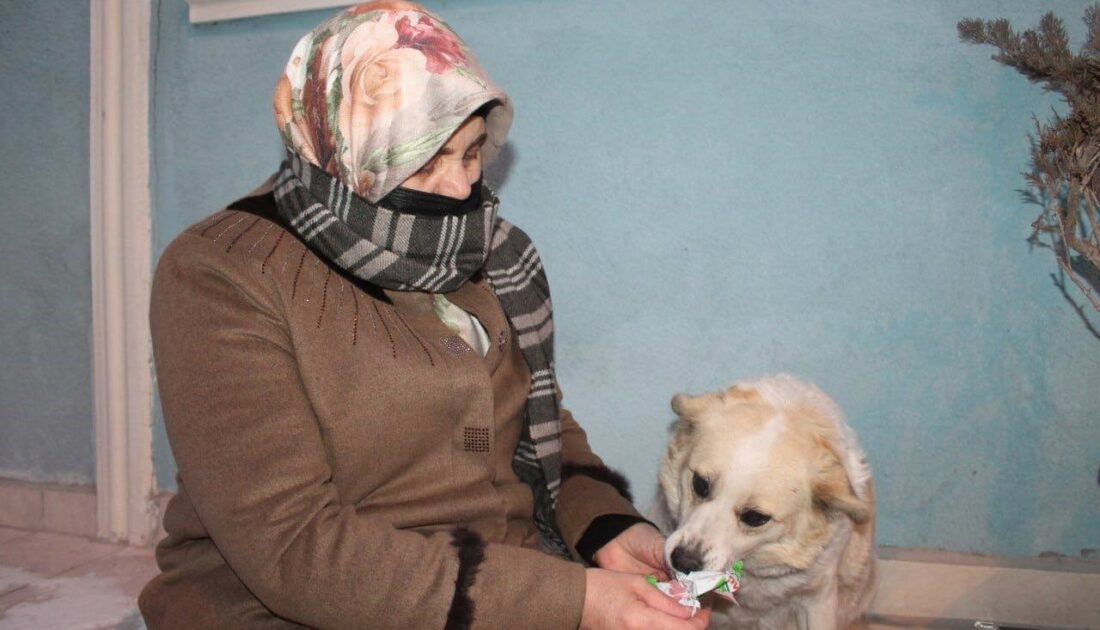 Mahallenin maskotu alkış sesi duyunca oynamaya başlıyor