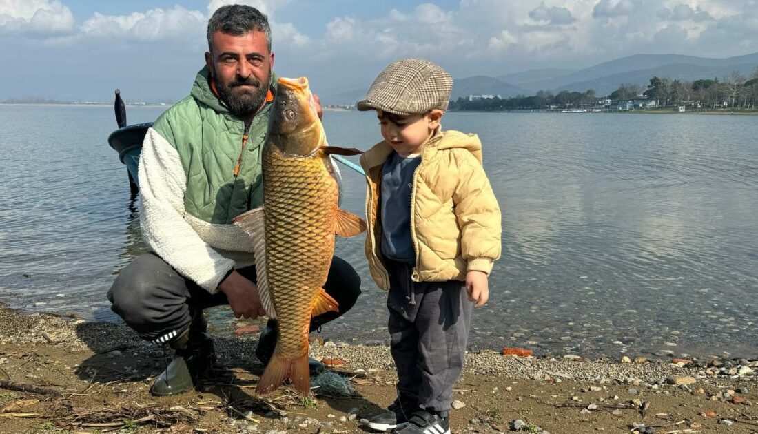 İznik Gölü’nde sazan bereketi