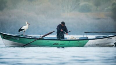 Merakla beklenen buluşma… Yaren Leylek eşine kavuştu