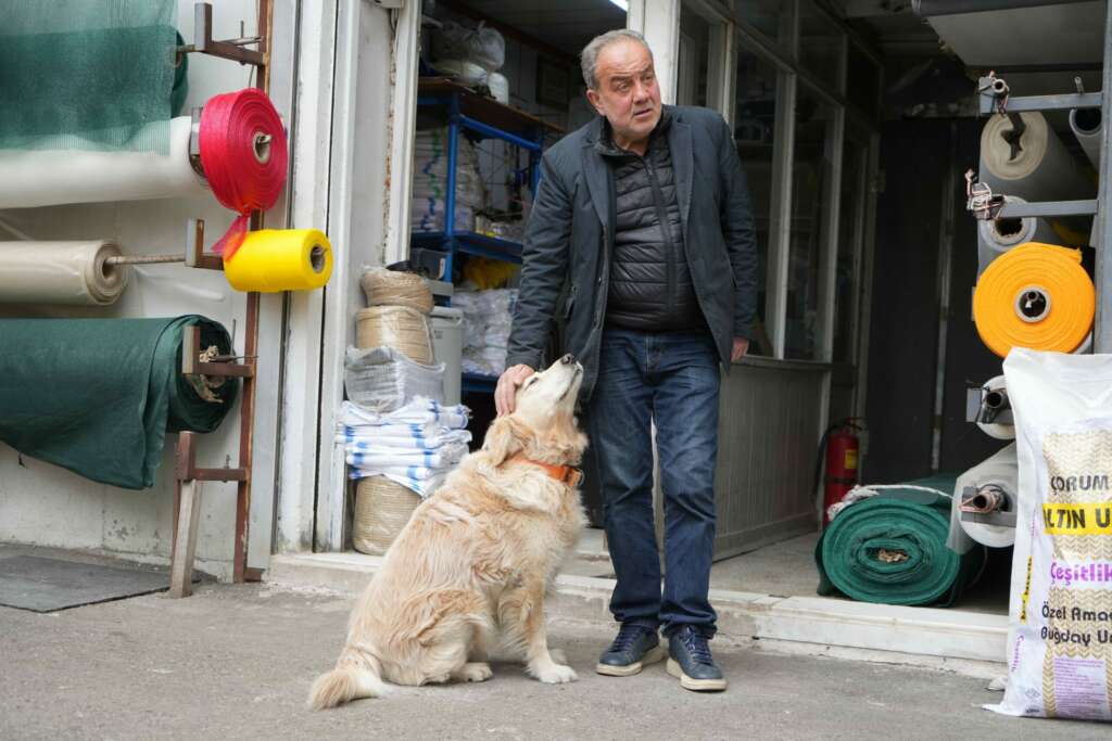 Köpeğin doktora havlaması sahibine binlerce TL’ye patladı