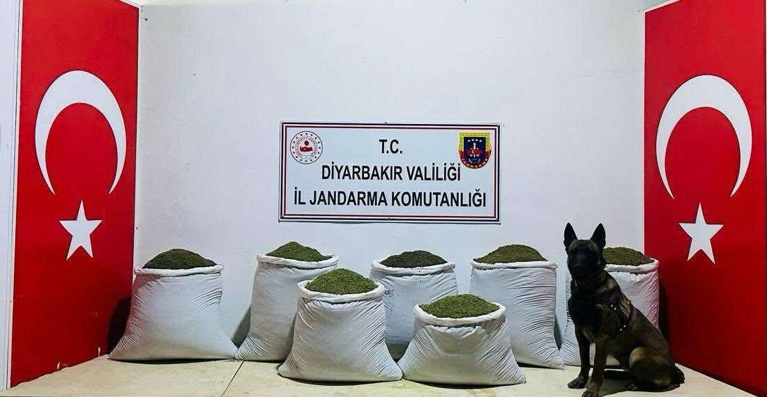 129 kilo toz esrar ele geçirildi