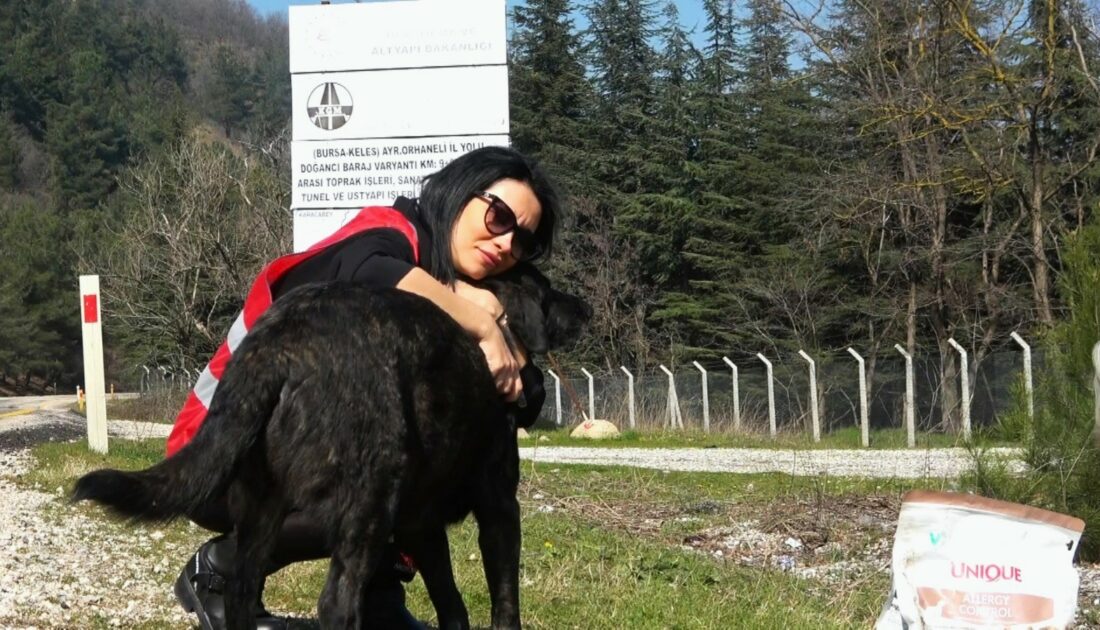 Bursa’da geri dönüşüm atıkları sokak hayvanlarına mama oldu