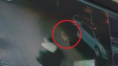 Bursa’da başıboş pitbull çocuklara saldırdı!