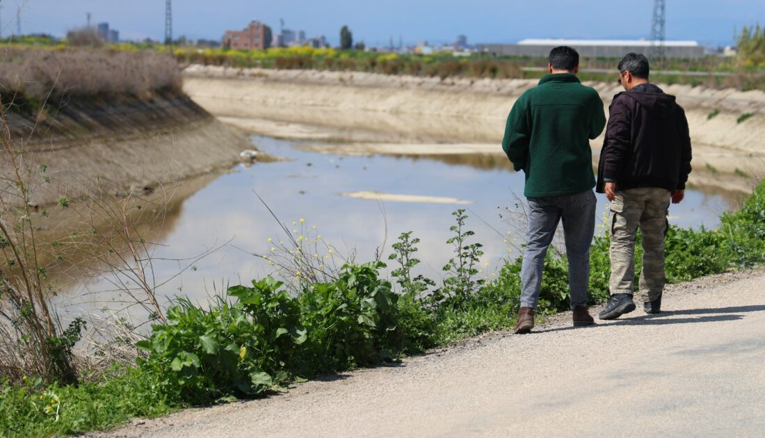 Yüzlerce at ve eşek eti kemiği bulundu