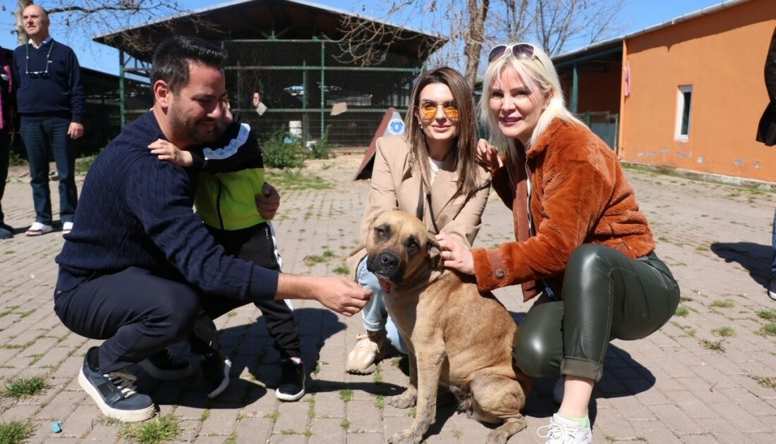 AK Parti Mudanya Adayı Dinçer: Can dostlarımız sahipsiz kalmayacak