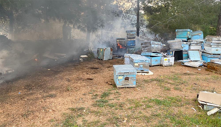 Datça’daki orman yangınında arı kovanları zarar gördü