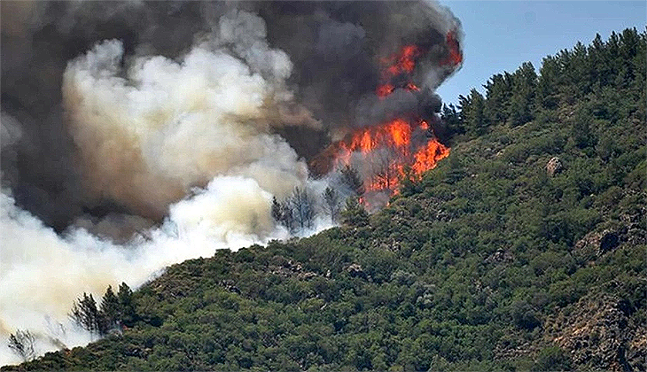 Marmaris’te ormanı yakan sanığın cezası belli oldu