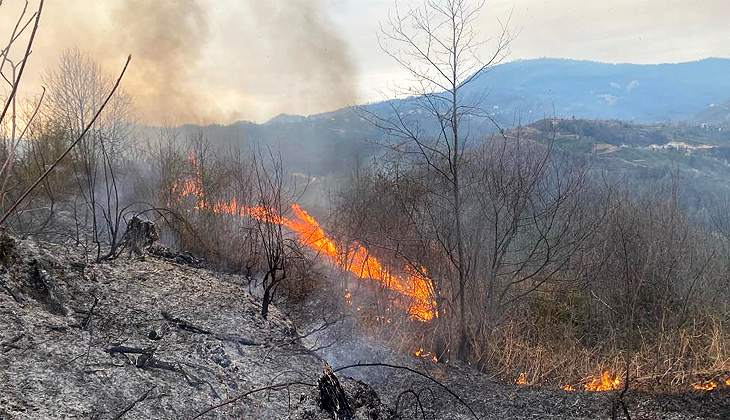 Artvin’de orman yangını